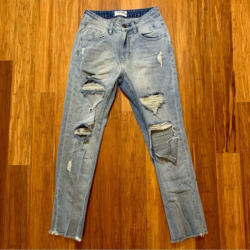 NWOT One X One Teaspoon Super Distressed Jean